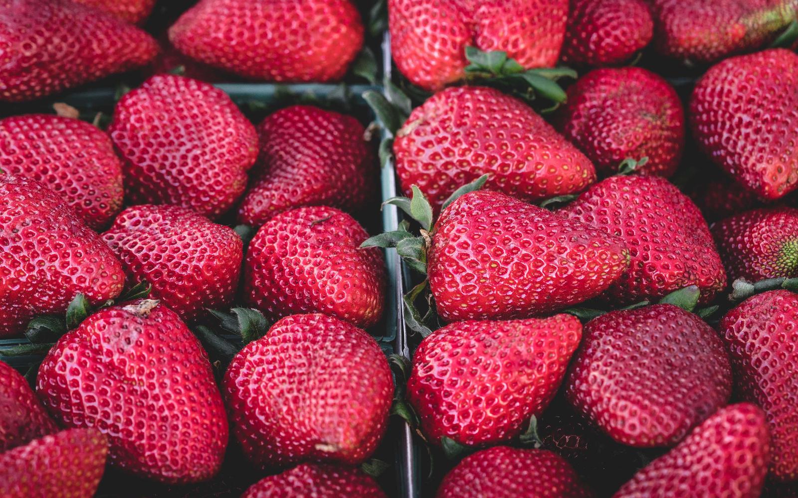 Why your client area theme matters more than you think